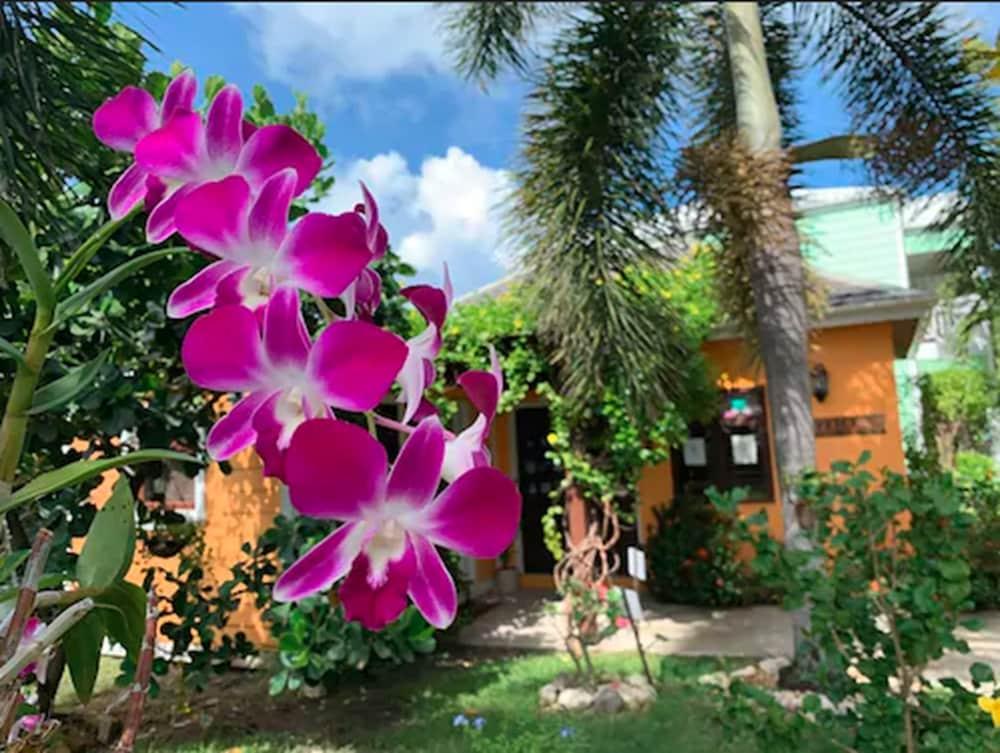 Buccaneer Beach Club Dickenson Bay Ngoại thất bức ảnh
