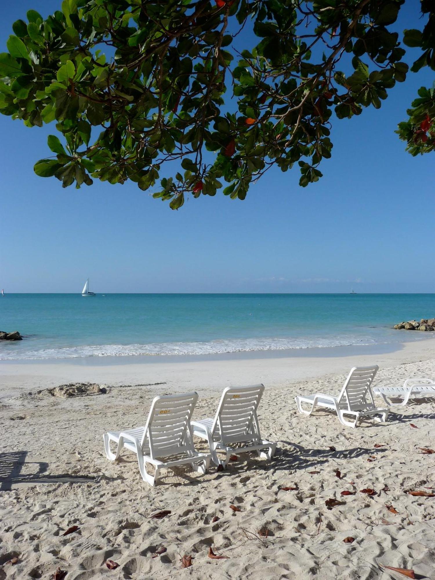 Buccaneer Beach Club Dickenson Bay Ngoại thất bức ảnh