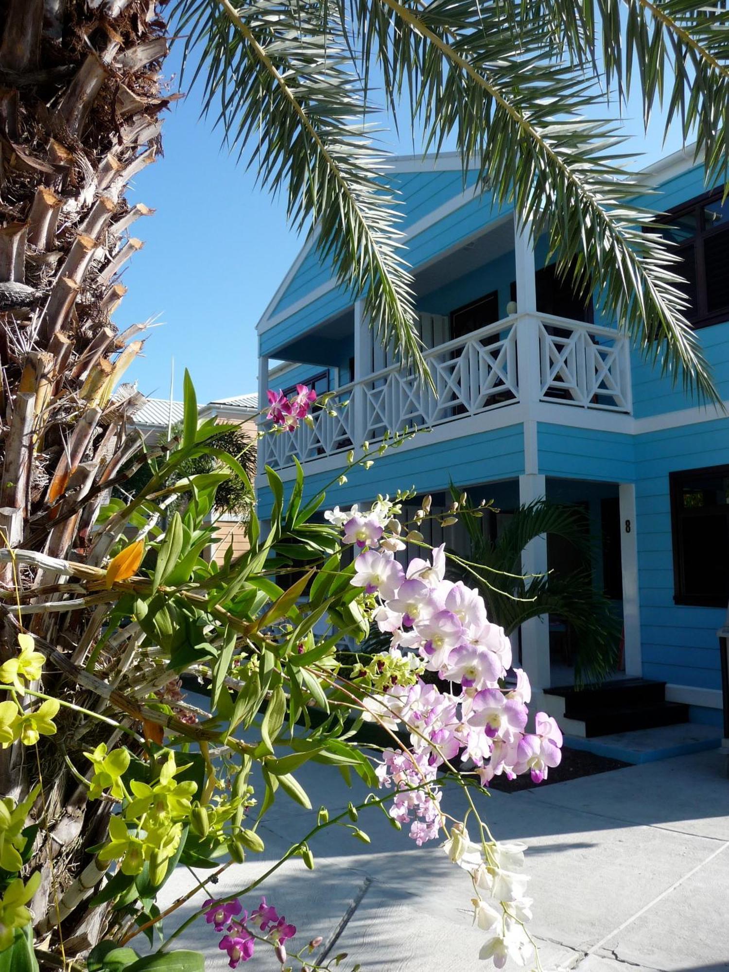 Buccaneer Beach Club Dickenson Bay Ngoại thất bức ảnh