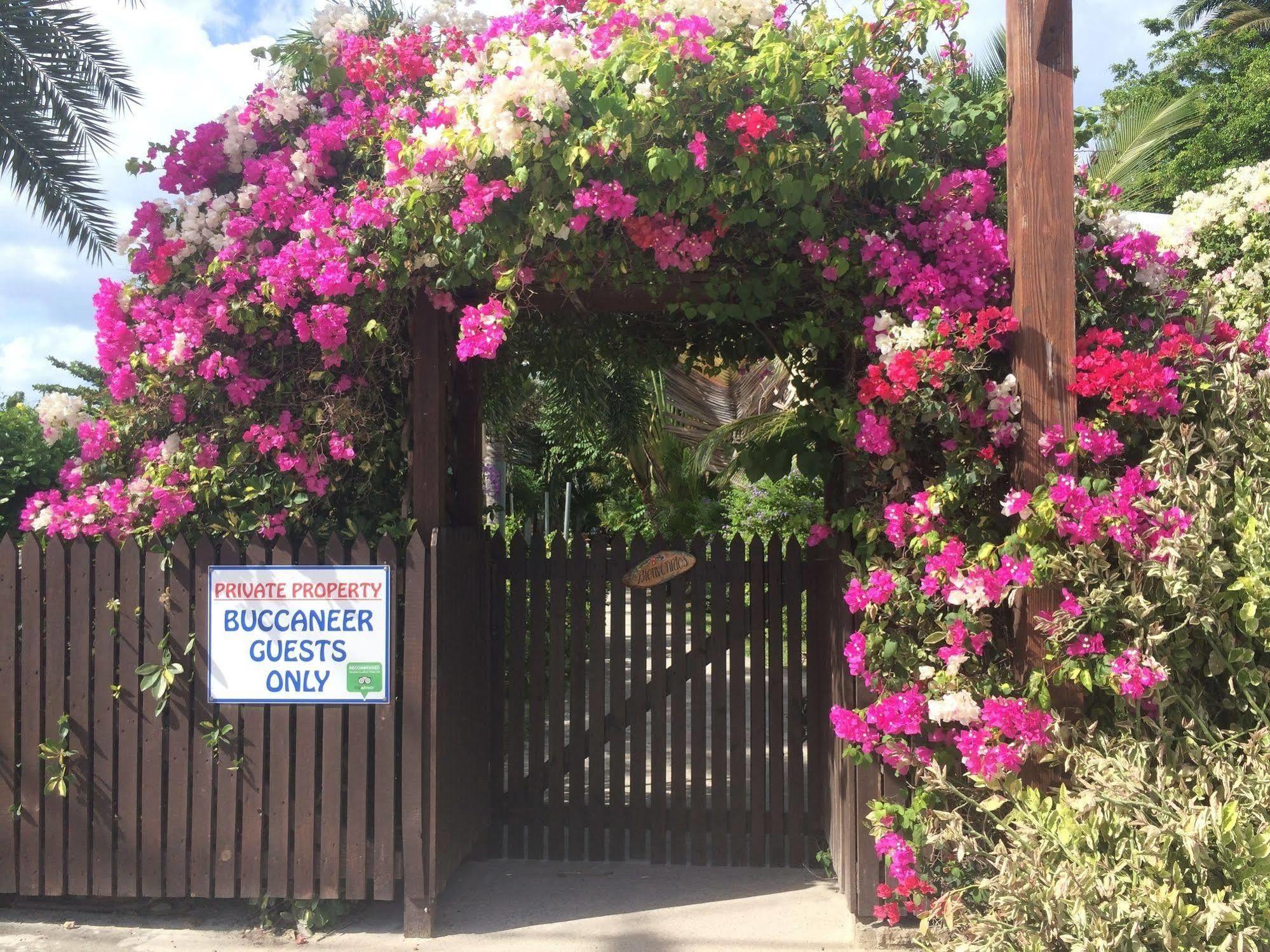 Buccaneer Beach Club Dickenson Bay Ngoại thất bức ảnh