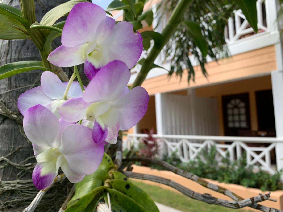 Buccaneer Beach Club Dickenson Bay Ngoại thất bức ảnh
